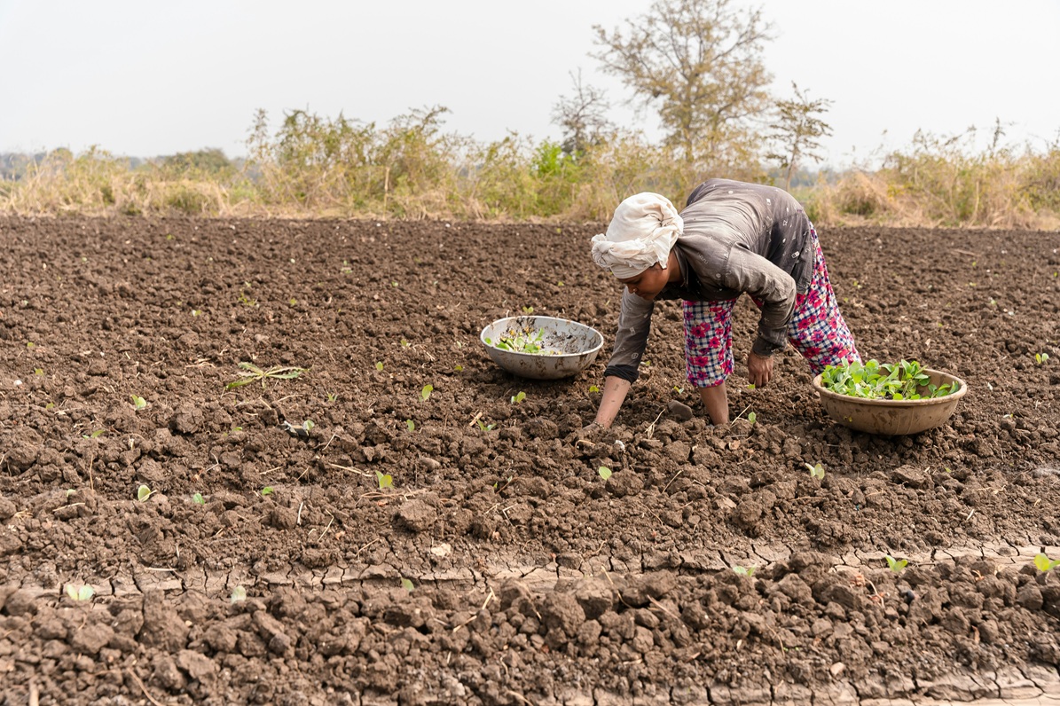 A woman in farm that uses Siza to sell her products.